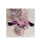 ペチュくんがオタクの代弁をしてくれます。（個別スタンプ：7）
