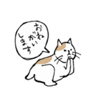 まったりごろごろ日本猫（個別スタンプ：9）