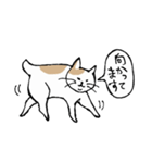 まったりごろごろ日本猫（個別スタンプ：14）