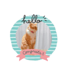 Hello_yoookooo（個別スタンプ：2）
