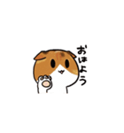 猫のわらび（個別スタンプ：1）