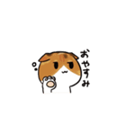 猫のわらび（個別スタンプ：2）