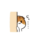 猫のわらび（個別スタンプ：4）