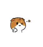 猫のわらび（個別スタンプ：6）