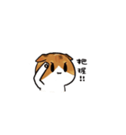 猫のわらび（個別スタンプ：8）