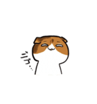 猫のわらび（個別スタンプ：16）