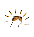 猫のわらび（個別スタンプ：17）