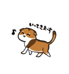 猫のわらび（個別スタンプ：20）