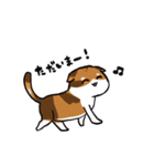 猫のわらび（個別スタンプ：21）