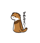 猫のわらび（個別スタンプ：24）