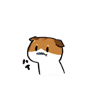 猫のわらび（個別スタンプ：28）