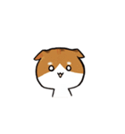 猫のわらび（個別スタンプ：29）