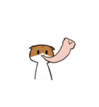 猫のわらび（個別スタンプ：31）