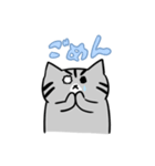 チビ太の日常スタンプ（個別スタンプ：4）