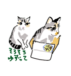 大吉とさくら仲悪そうで仲いいね（個別スタンプ：3）