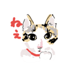 大吉とさくら仲悪そうで仲いいね（個別スタンプ：8）