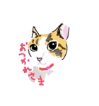 大吉とさくら仲悪そうで仲いいね（個別スタンプ：14）