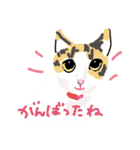大吉とさくら仲悪そうで仲いいね（個別スタンプ：15）