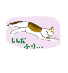 大吉とさくら仲悪そうで仲いいね（個別スタンプ：17）