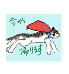 大吉とさくら仲悪そうで仲いいね（個別スタンプ：20）
