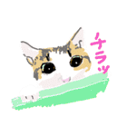 大吉とさくら仲悪そうで仲いいね（個別スタンプ：34）