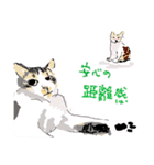 大吉とさくら仲悪そうで仲いいね（個別スタンプ：36）