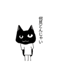 平成猫之助猫太郎（個別スタンプ：3）