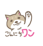 表情豊かな柴犬（個別スタンプ：1）