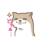 表情豊かな柴犬（個別スタンプ：4）