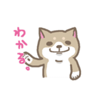 表情豊かな柴犬（個別スタンプ：5）