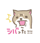 表情豊かな柴犬（個別スタンプ：9）