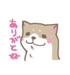 表情豊かな柴犬（個別スタンプ：13）
