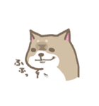 表情豊かな柴犬（個別スタンプ：18）