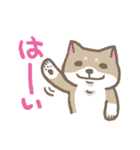 表情豊かな柴犬（個別スタンプ：19）