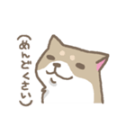 表情豊かな柴犬（個別スタンプ：21）