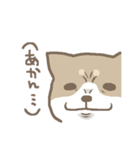 表情豊かな柴犬（個別スタンプ：23）