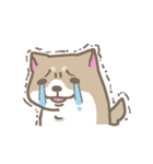 表情豊かな柴犬（個別スタンプ：25）