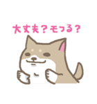 表情豊かな柴犬（個別スタンプ：29）