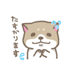 表情豊かな柴犬（個別スタンプ：37）