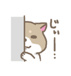 表情豊かな柴犬（個別スタンプ：40）