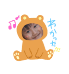 中嶋家スタンプ（個別スタンプ：1）