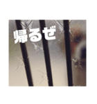 ウィル(トン)スタンプ（個別スタンプ：7）