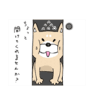 木村家のむぅ～犬あるあるスタンプ～（個別スタンプ：37）