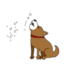 木村家のむぅ～犬あるあるスタンプ～（個別スタンプ：40）