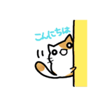 猫たまにカエル（個別スタンプ：1）