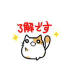 猫たまにカエル（個別スタンプ：2）