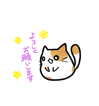 猫たまにカエル（個別スタンプ：3）