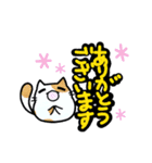 猫たまにカエル（個別スタンプ：4）