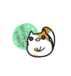 猫たまにカエル（個別スタンプ：6）