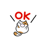 猫たまにカエル（個別スタンプ：8）